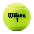 Wilson Championship Xtra Duty Tennis Ball, 20 Pack of 3 Ball Cans